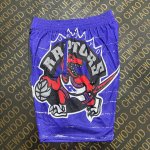 NBA Toronto Raptors large screen M&N shorts